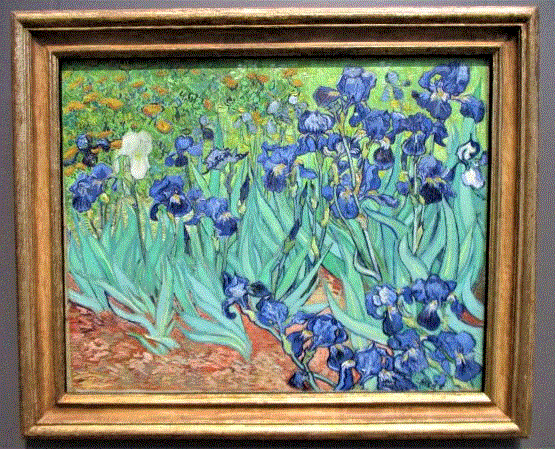 Irises Van Gogh