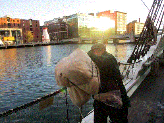 tea into the harbour